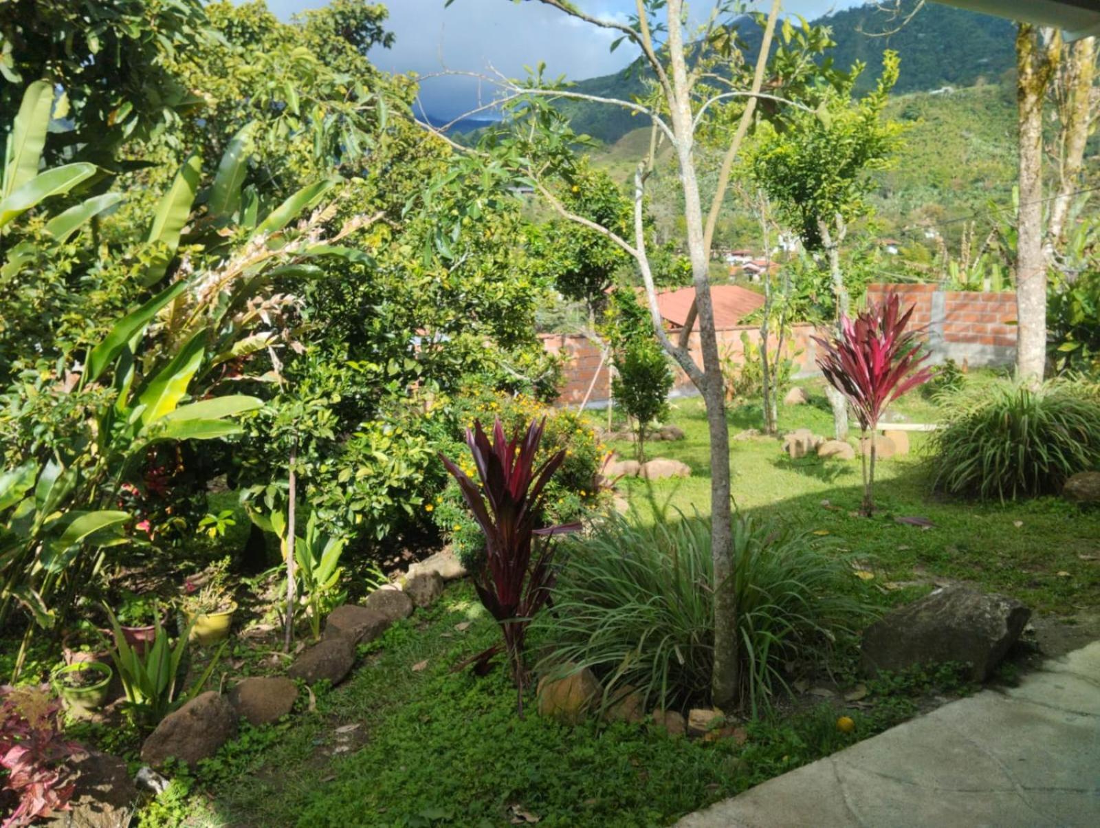 Luzart Hotel Jardin Exterior photo