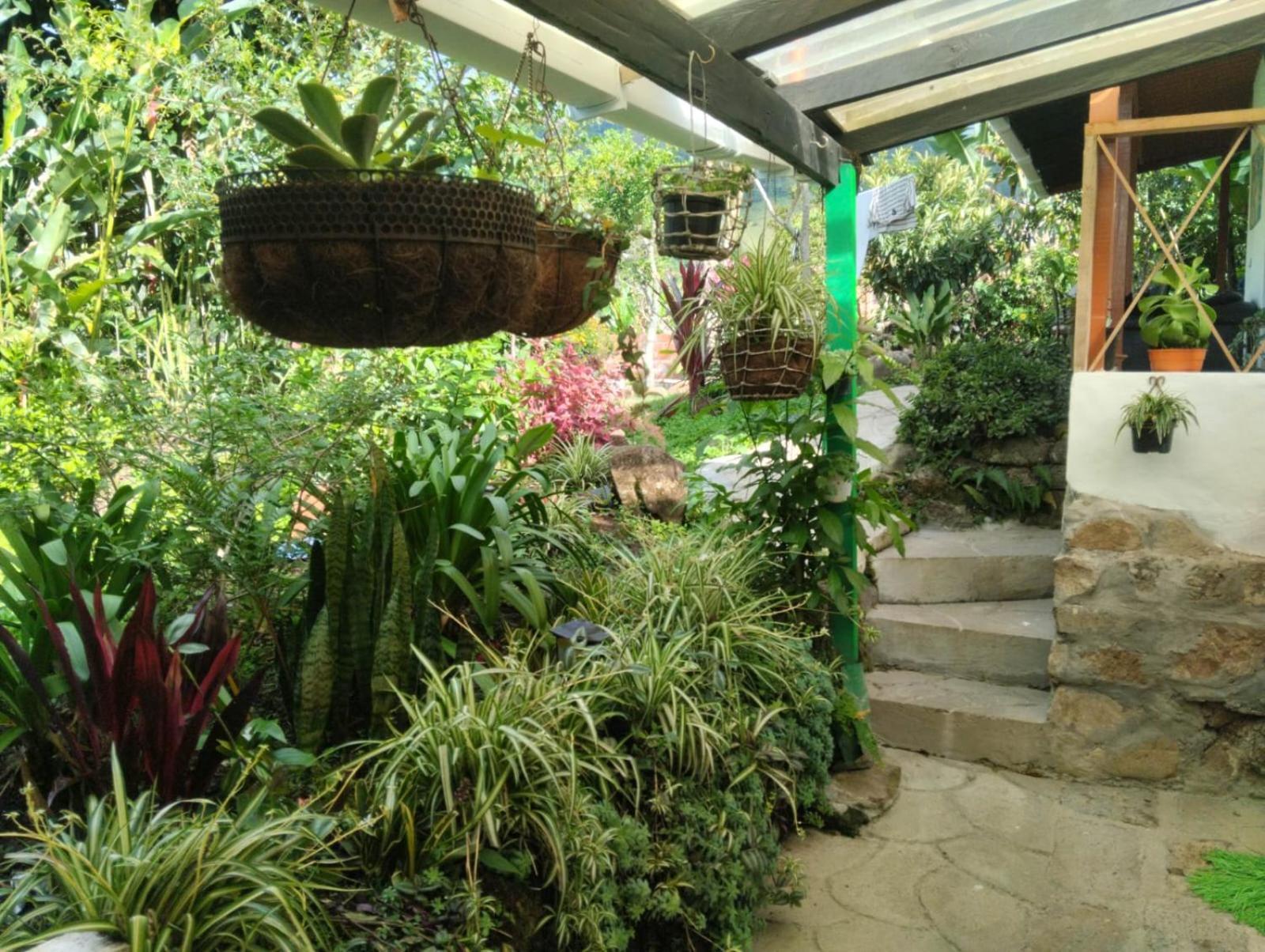 Luzart Hotel Jardin Exterior photo